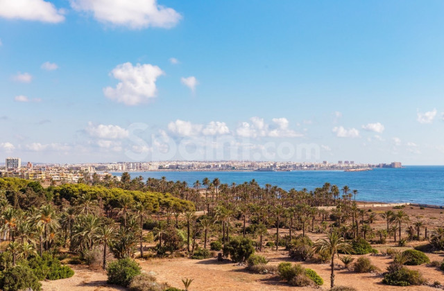 Lägenhet - Resale - Punta Prima - Punta Prima