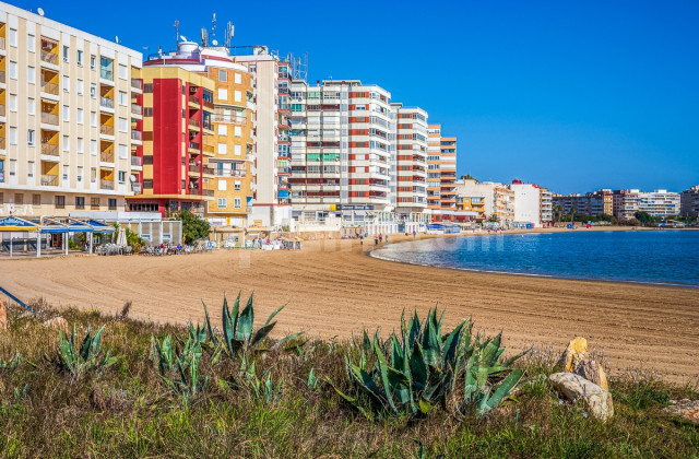 Lägenhet - Resale - TORREVIEJA - Acequion