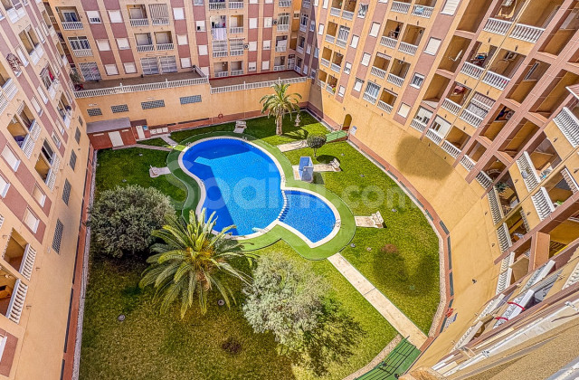 Lägenhet - Resale - TORREVIEJA - Parque de las Naciones