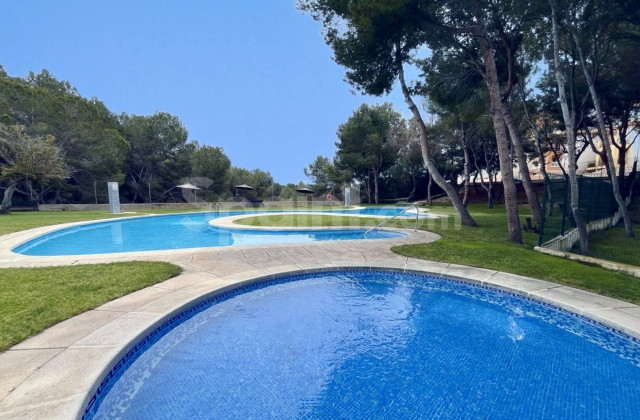 Leilighet - Bruktbolig - Cabo Roig - Cabo Roig
