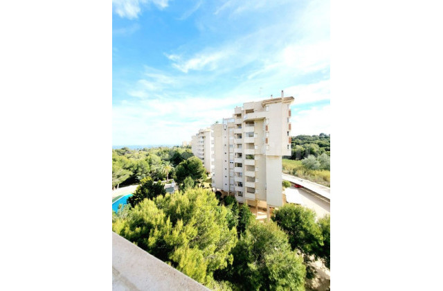 Leilighet - Bruktbolig - Dehesa de Campoamor - Campoamor