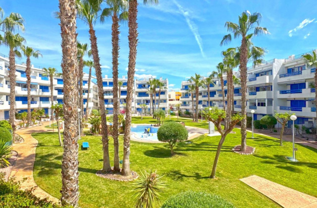 Leilighet - Bruktbolig - Orihuela Costa - Playa Flamenca