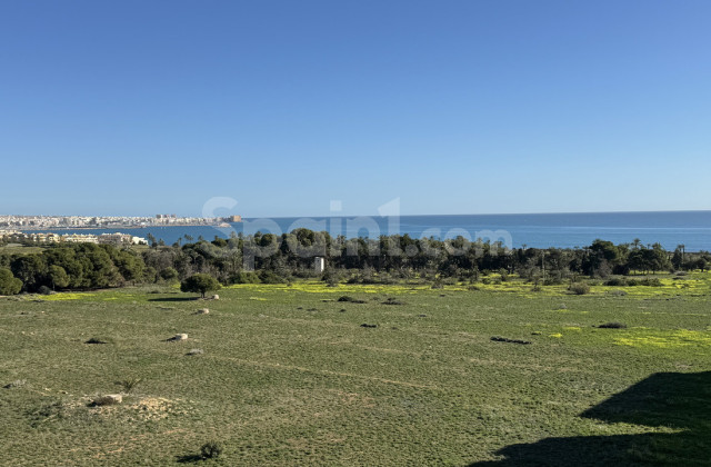 Leilighet - Bruktbolig - Punta Prima - Punta Prima