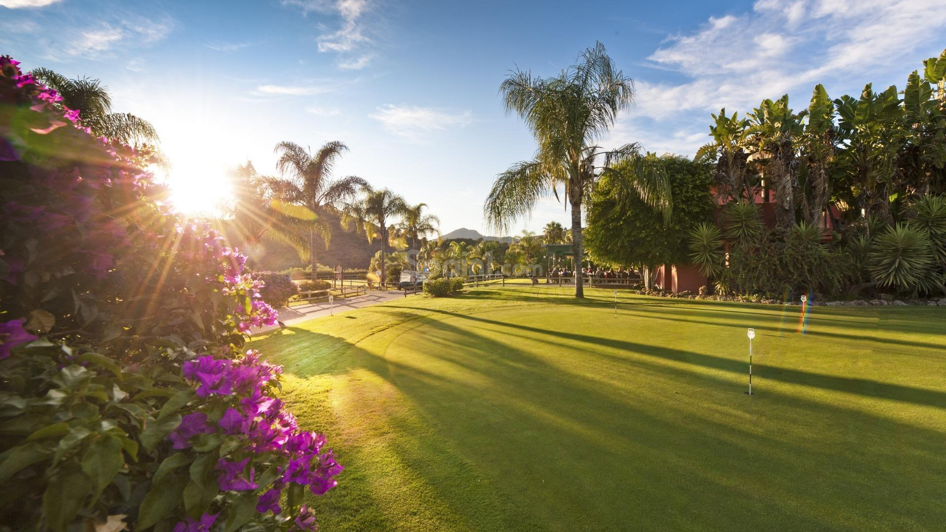 New Build - Apartment -
Benahavís - Urb. Los Jaralillos