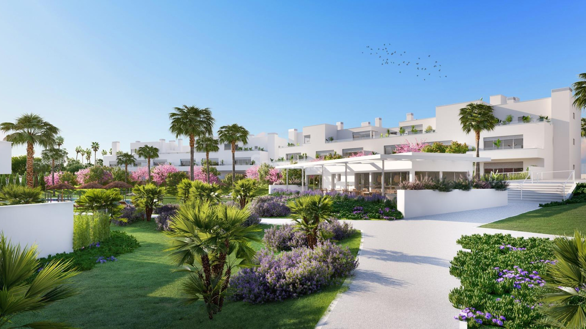 New Build - Apartment -
Estepona - Bel-air