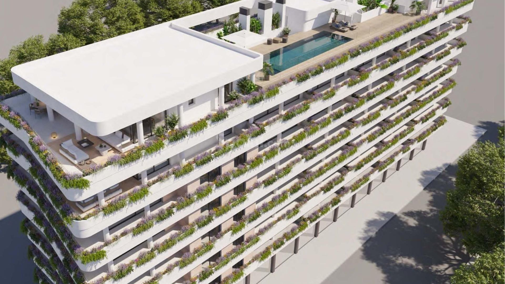 New Build - Apartment -
Estepona