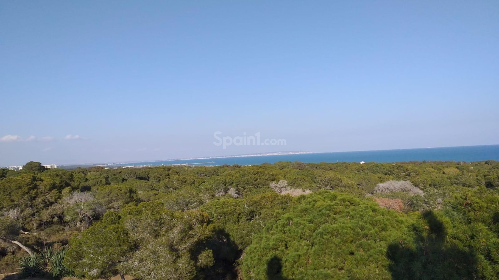 New Build - Apartment -
Guardamar del Segura