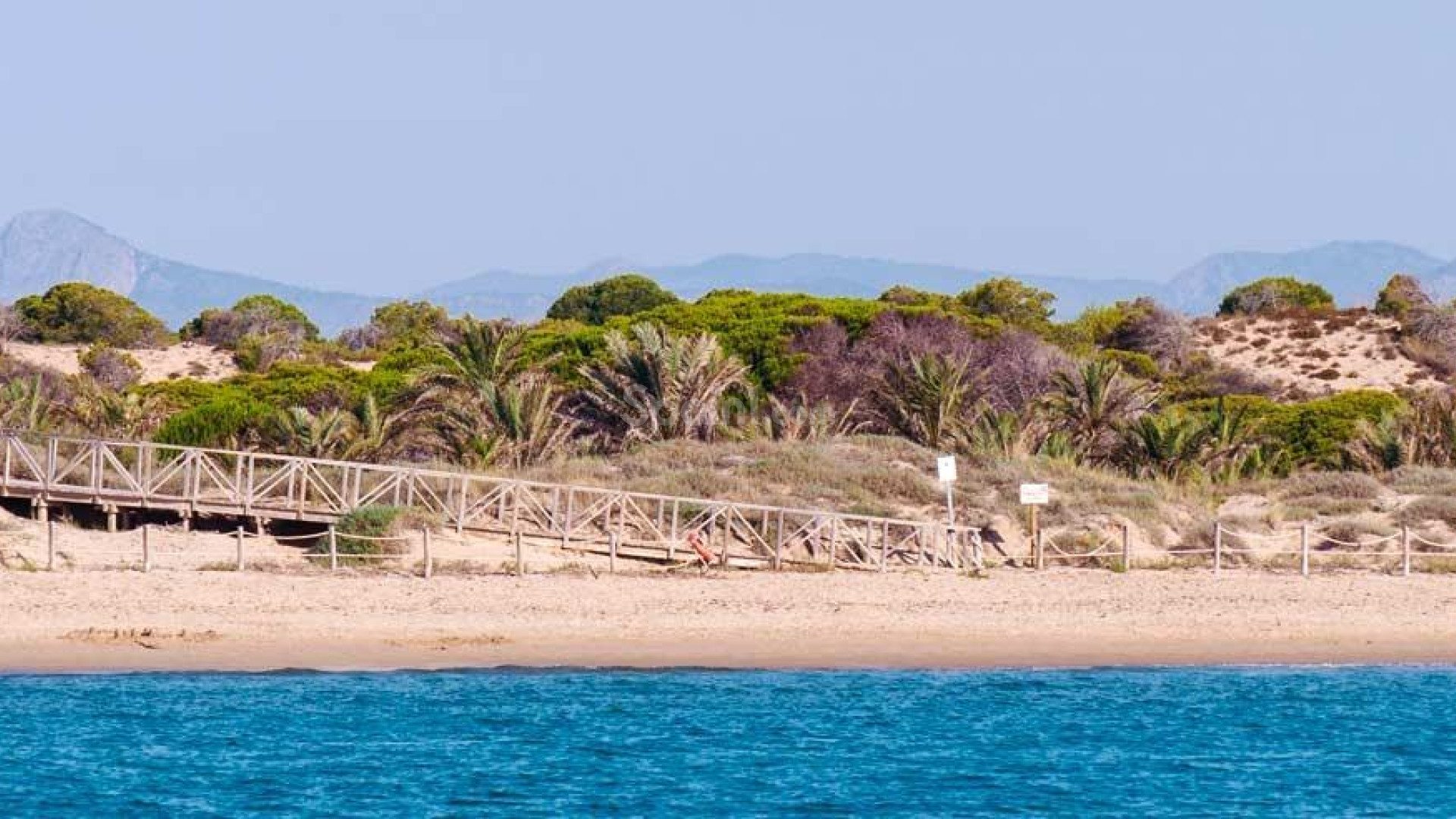 New Build - Apartment -
Guardamar del Segura