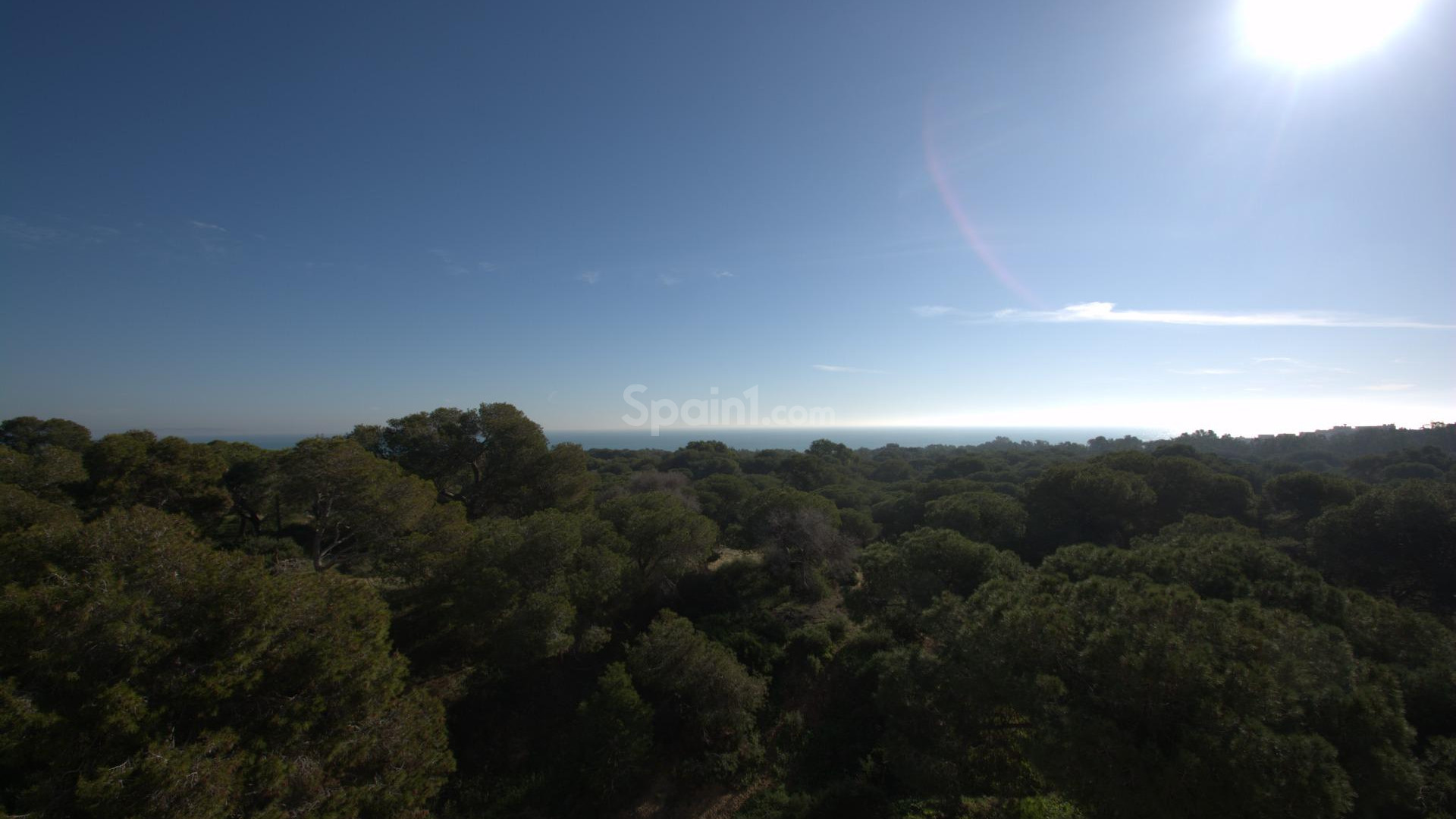 New Build - Apartment -
Guardamar del Segura