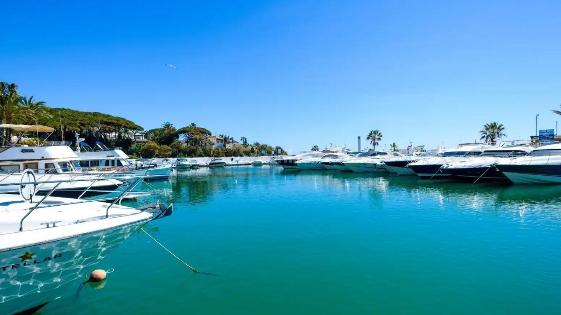 New Build - Apartment -
Marbella - Cabopino Golf