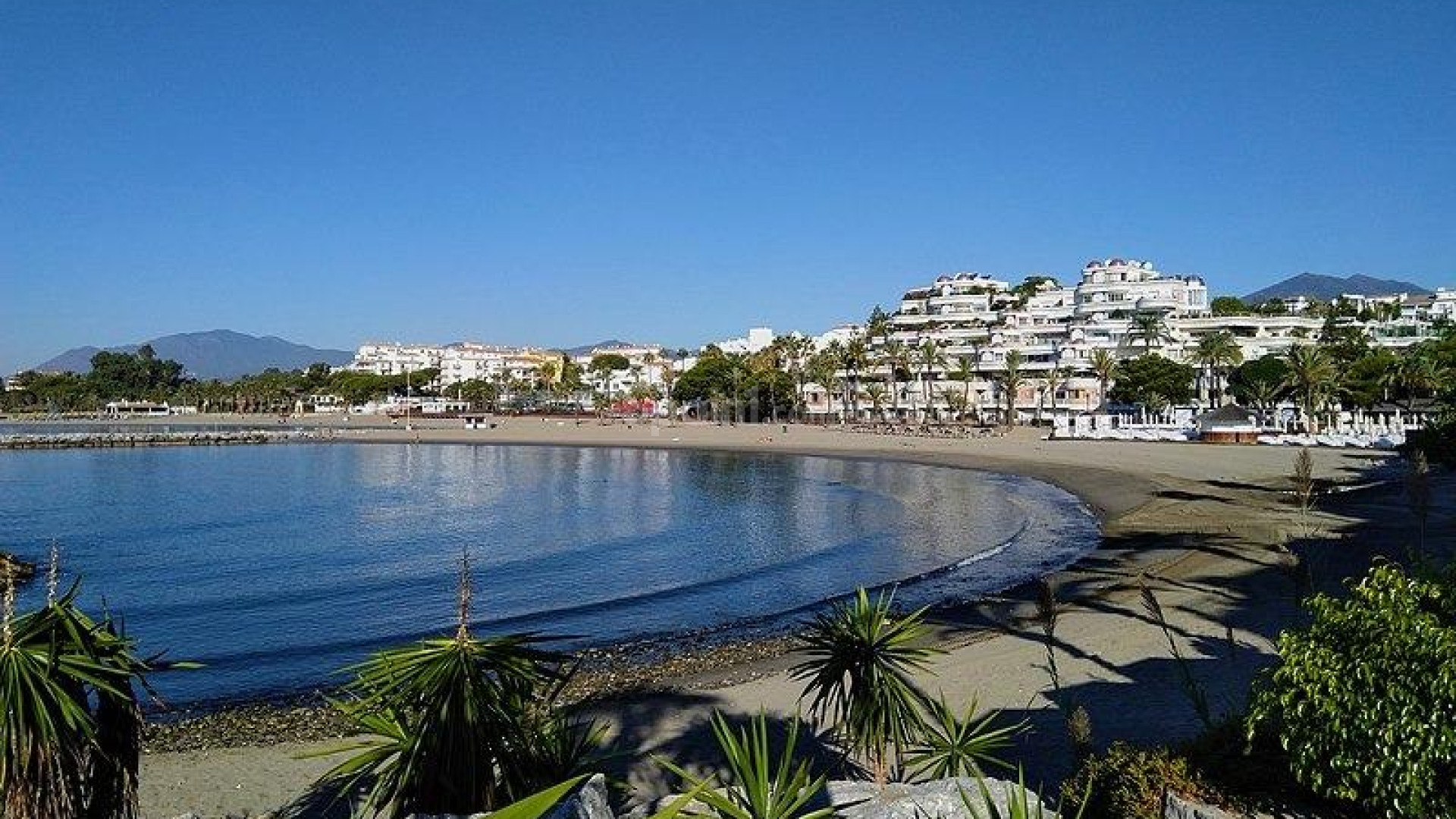 New Build - Apartment -
Marbella - Nueva Andalucia