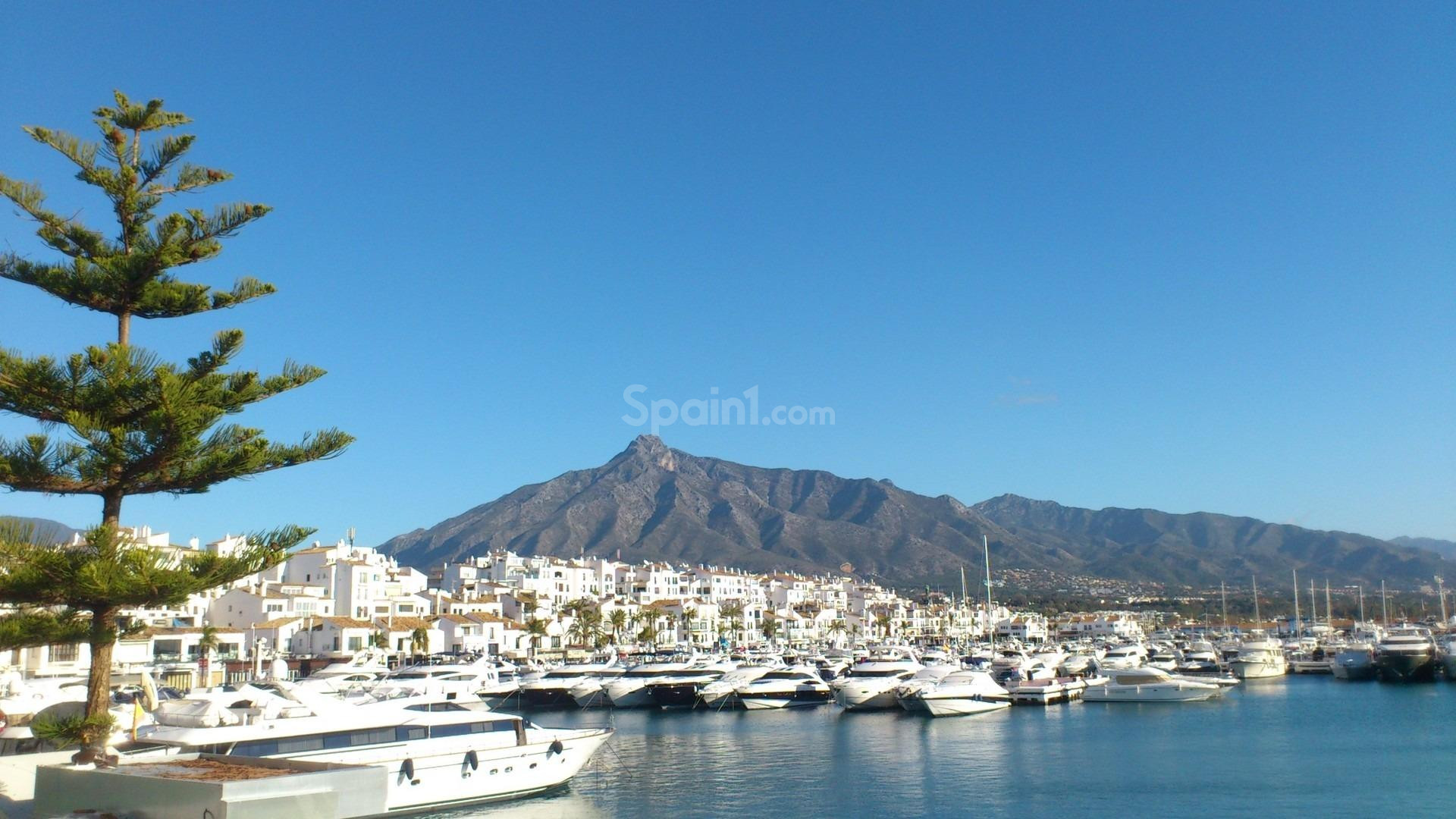 New Build - Apartment -
Marbella - Nueva Andalucia