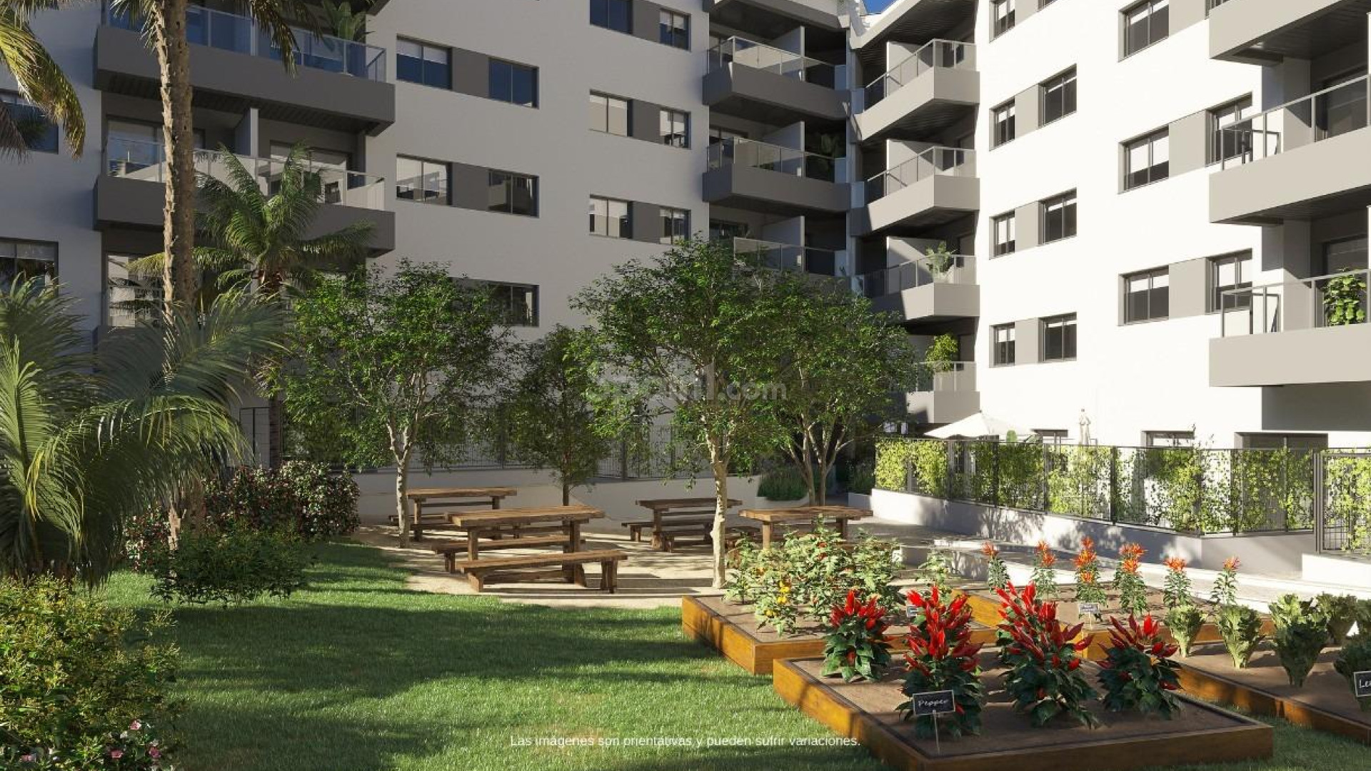 New Build - Apartment -
Mijas - Las Lagunas
