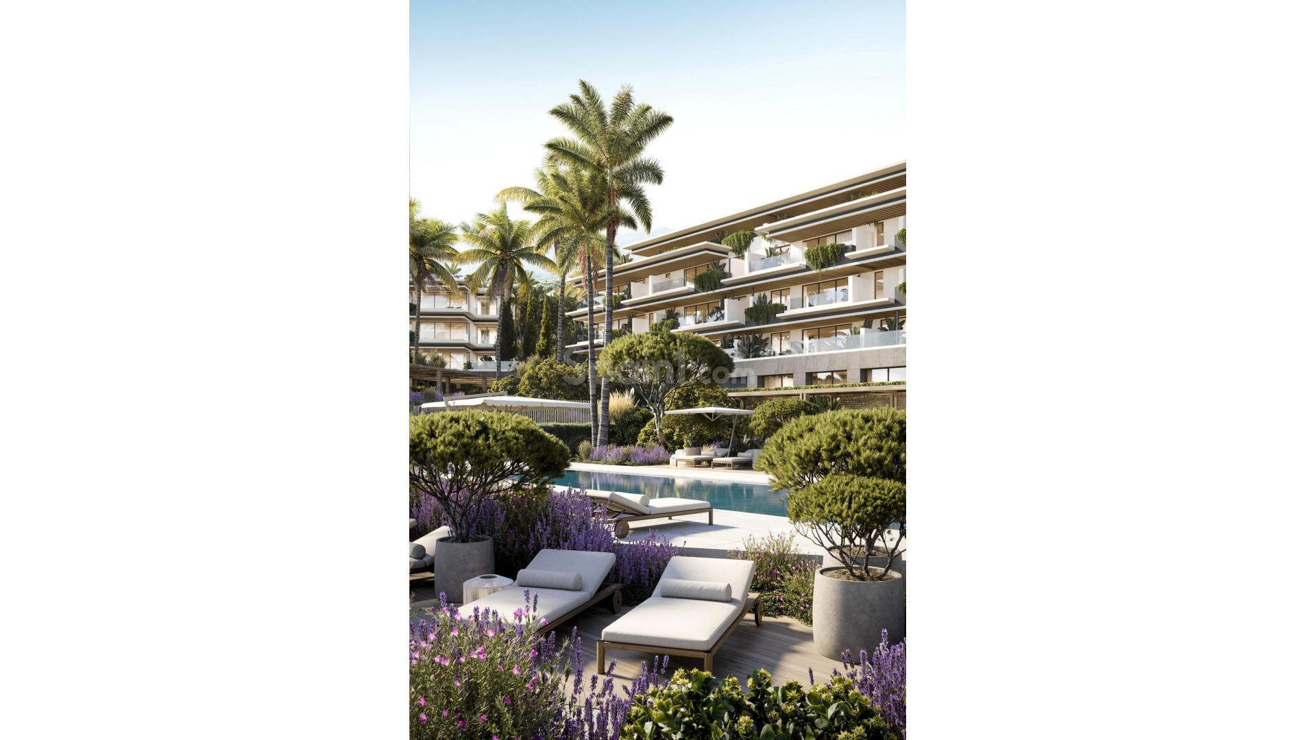 New Build - Apartment -
Mijas - Urb. Buenavista