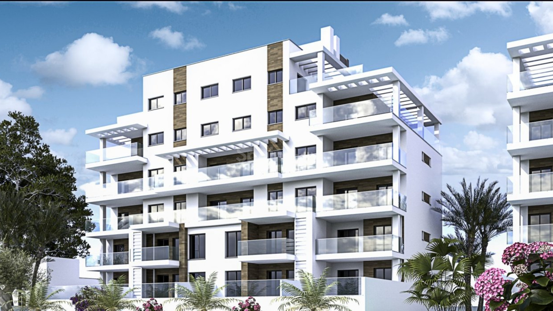 New Build - Apartment -
Pilar de la Horadada - Mil Palmeras