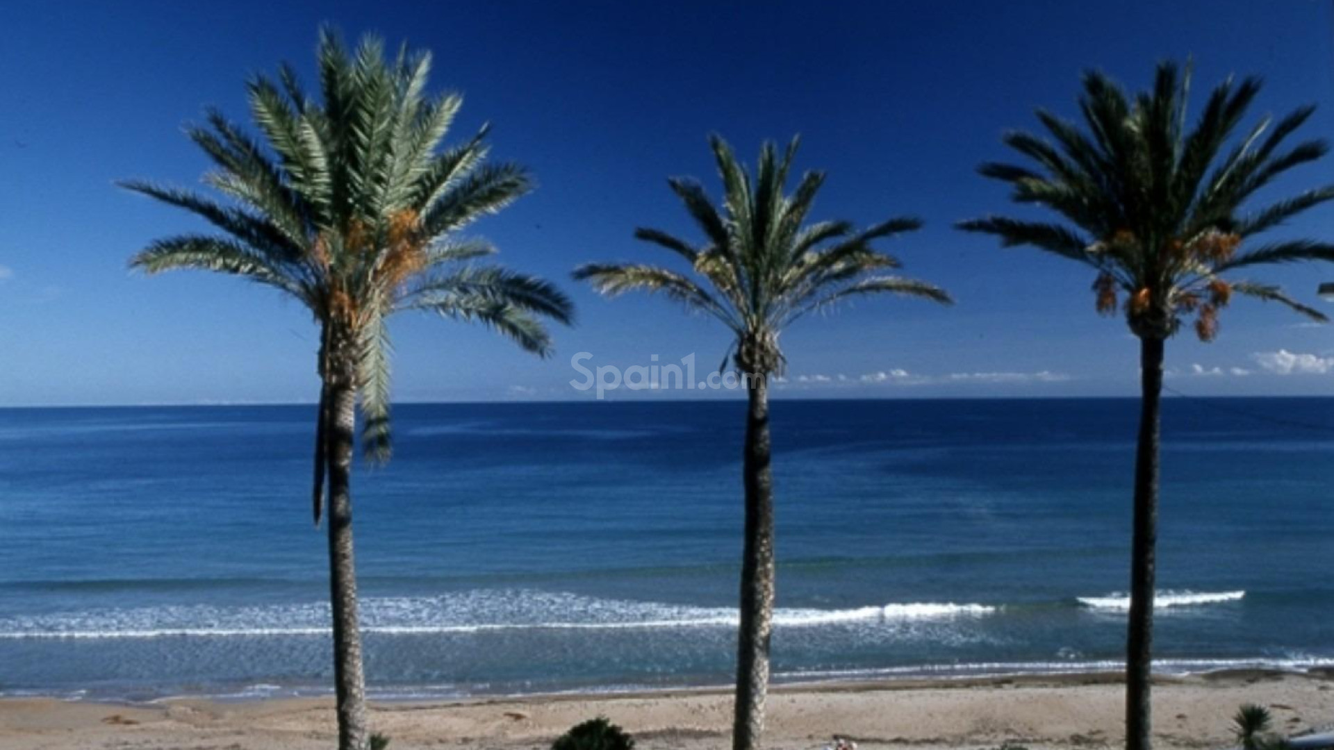 New Build - Apartment -
Pilar de la Horadada