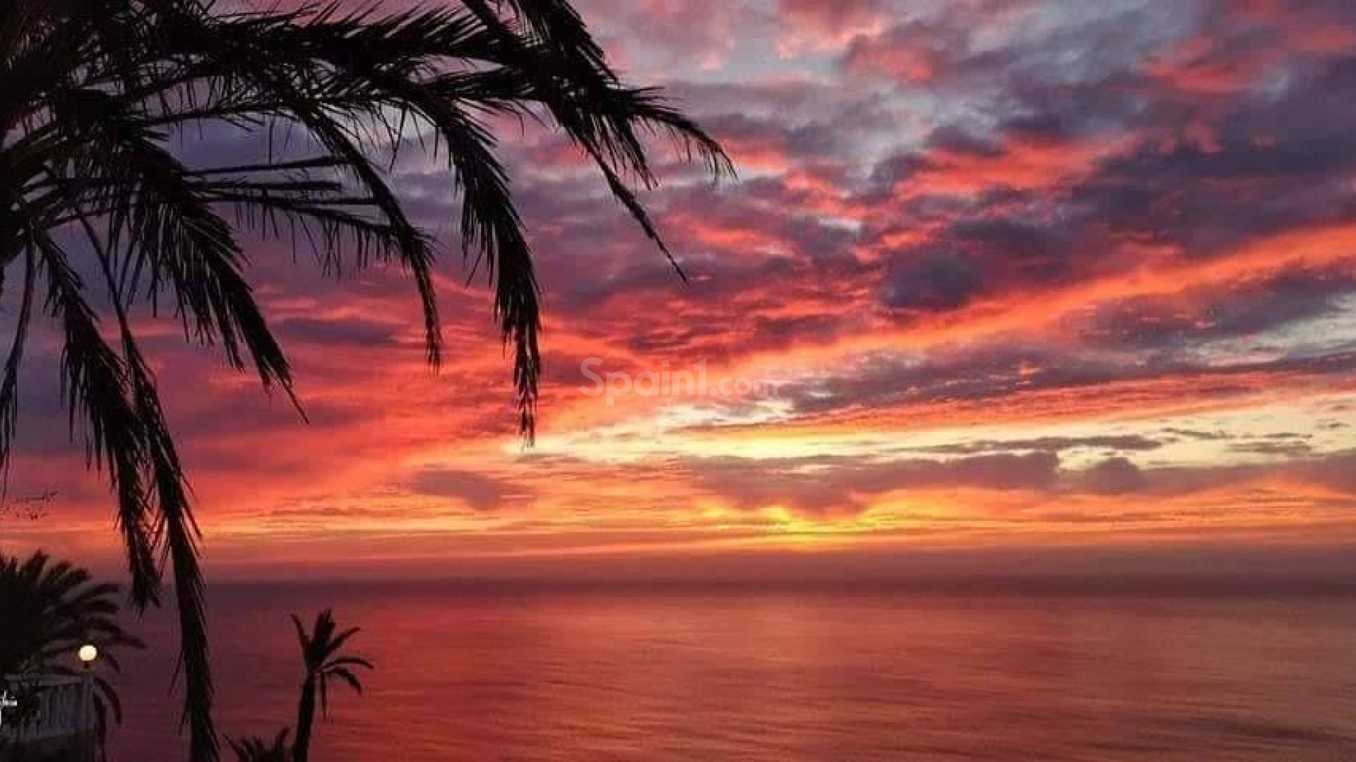 New Build - Apartment -
Torrevieja - Altos del Sol