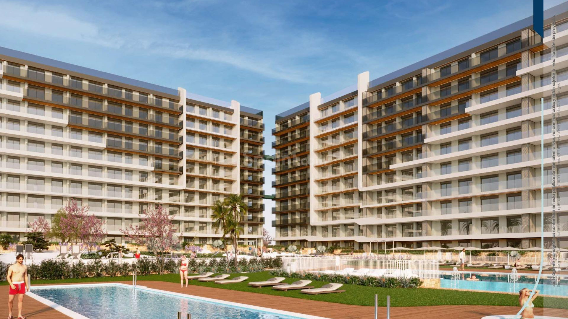 New Build - Apartment -
Torrevieja - Punta Prima