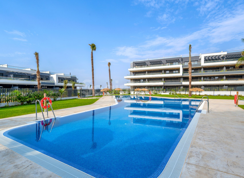 New Build - Apartment -
Torrevieja