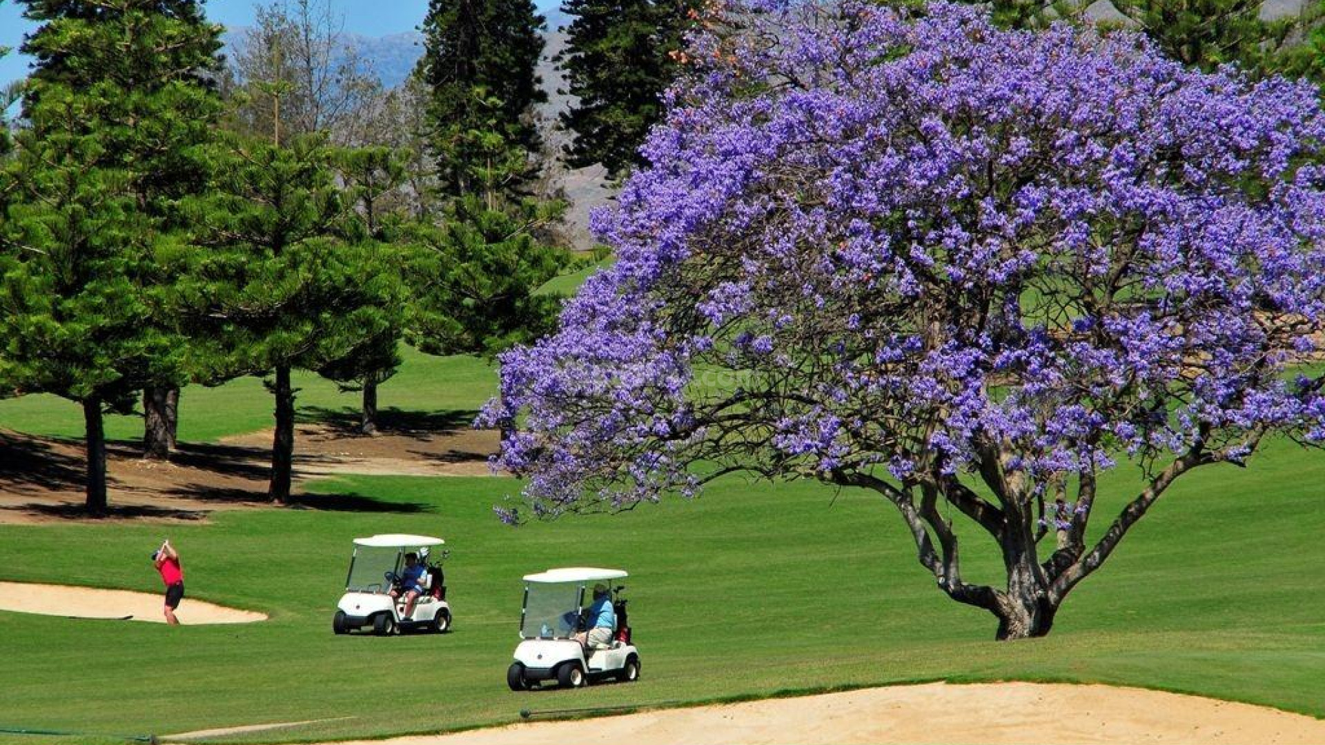 New Build - Lägenhet -
Mijas - La Noria Golf