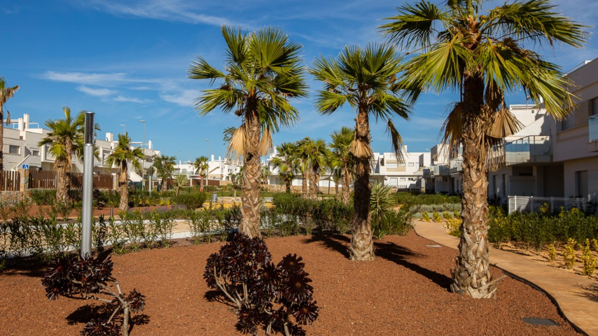 New Build - Lägenhet -
Vistabella Golf - Vista Bella