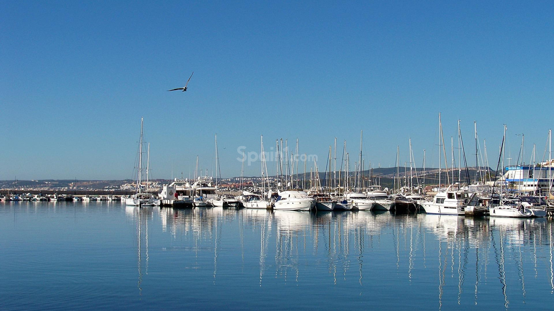 New Build - Penthouse -
Estepona - Casares