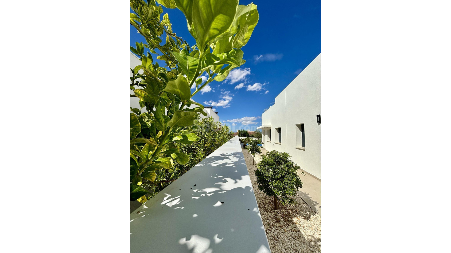 New Build - Villa -
Benijofar