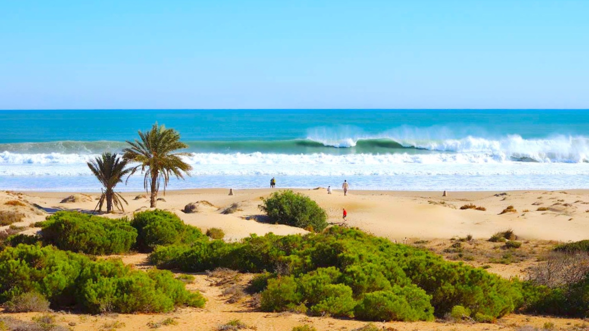 New Build - Villa -
Guardamar del Segura