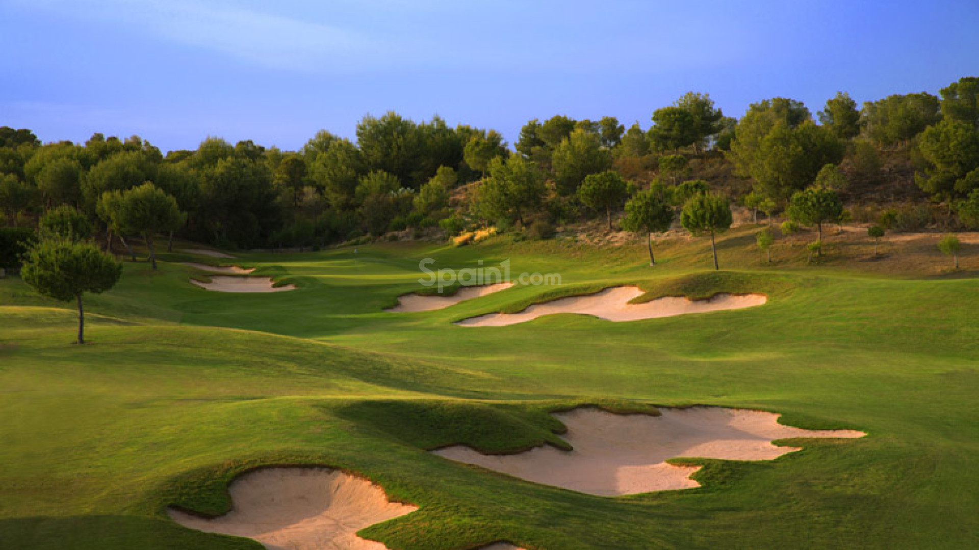 New Build - Villa -
Las Colinas - Las Colinas Golf