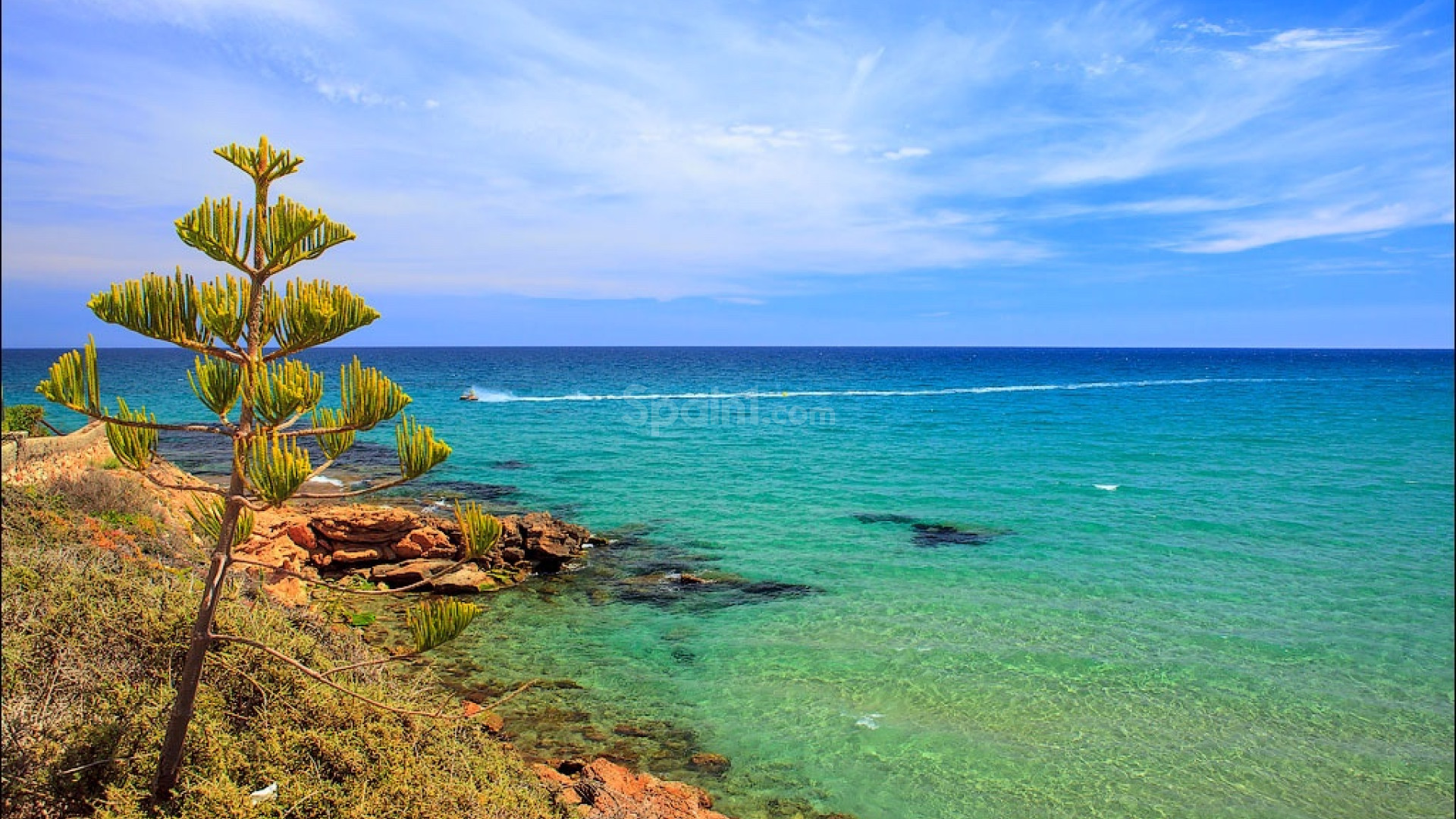 New Build - Villa -
Los Altos