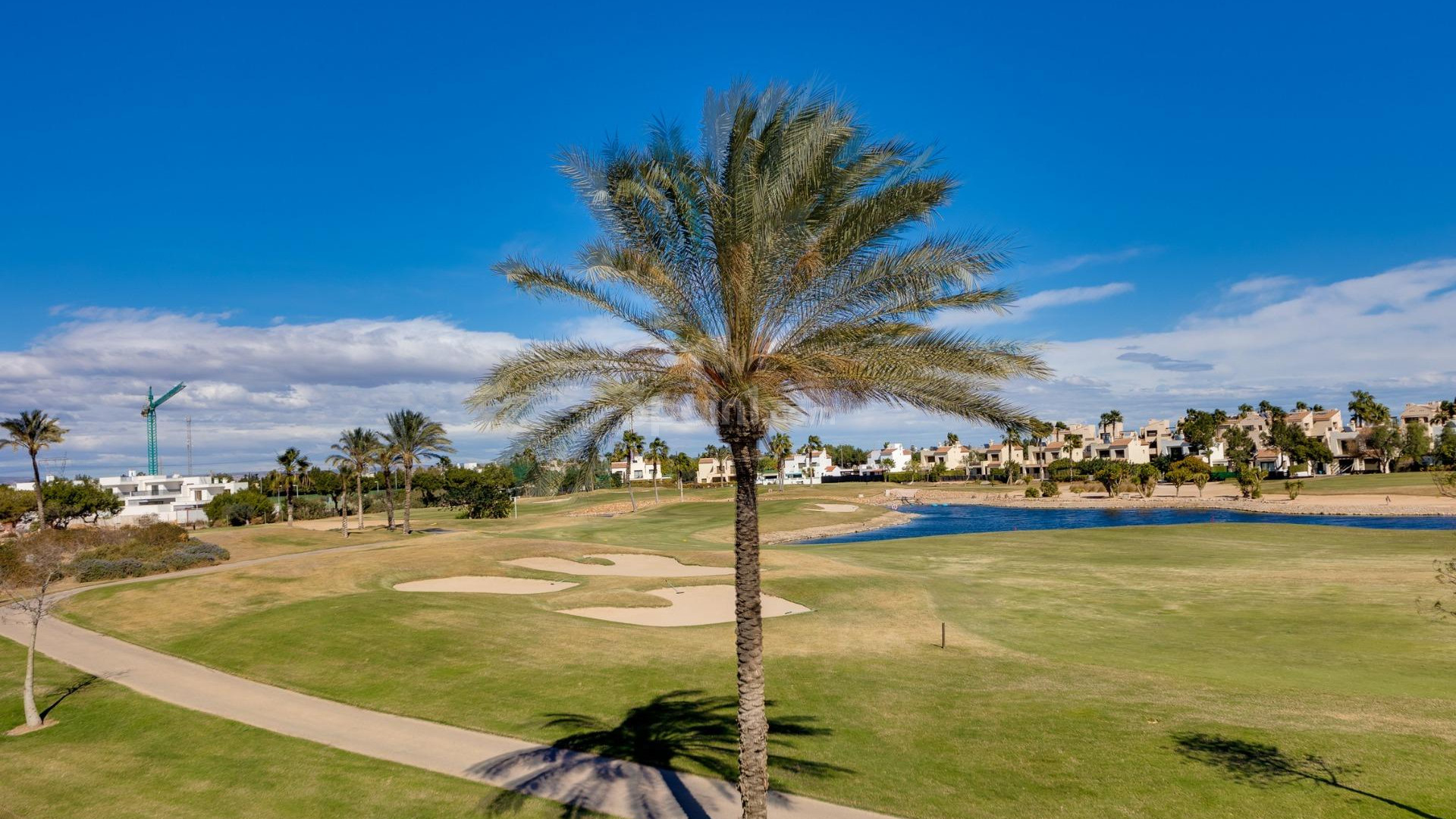New Build - Villa -
Pilar de la Horadada - Lo Romero Golf