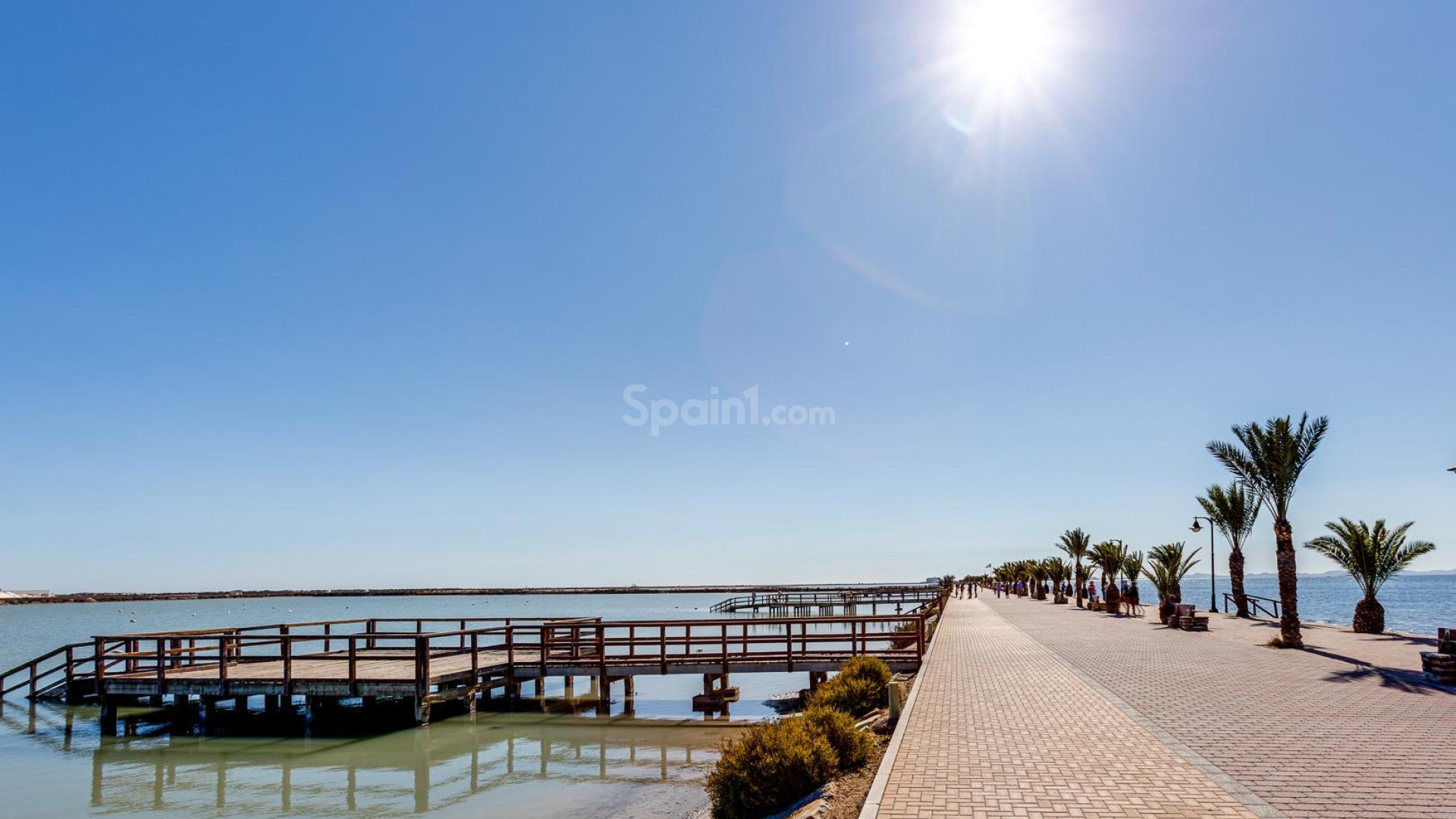 New Build - Villa -
Pilar de la Horadada