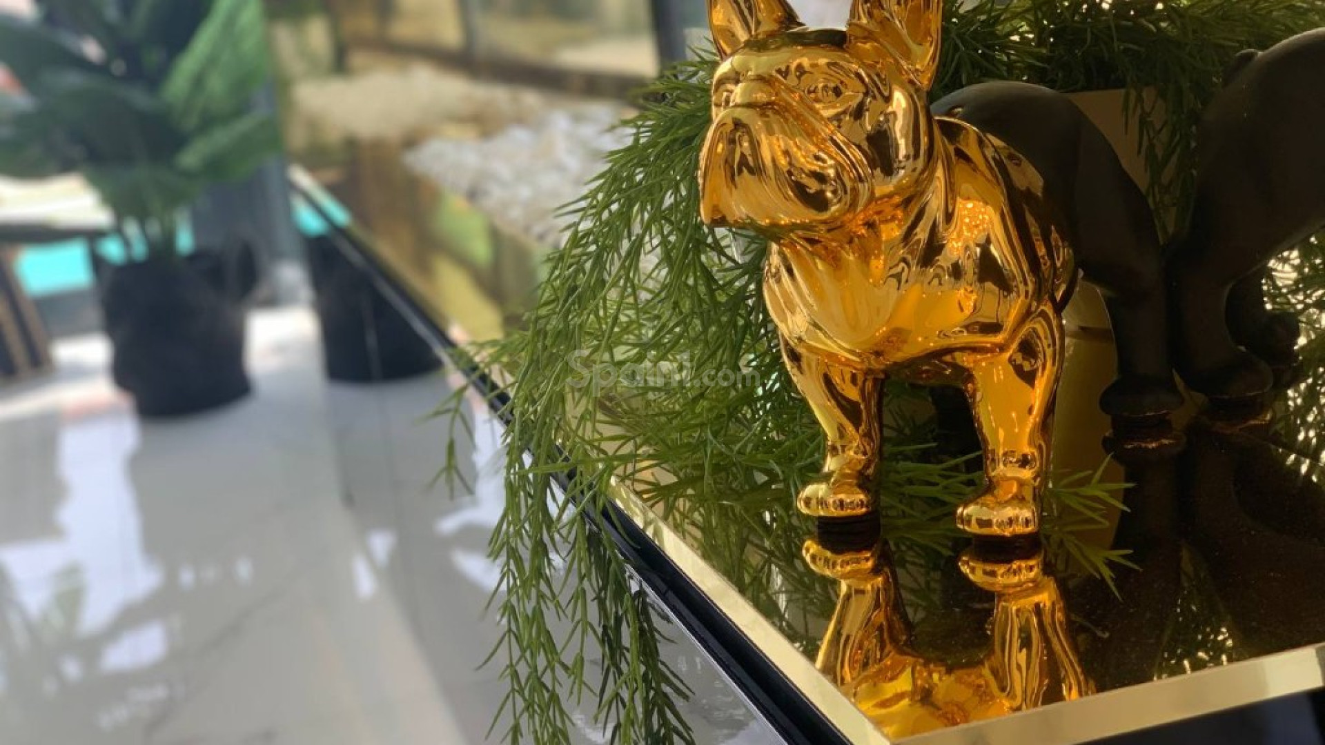 New Build - Villa -
Torrevieja