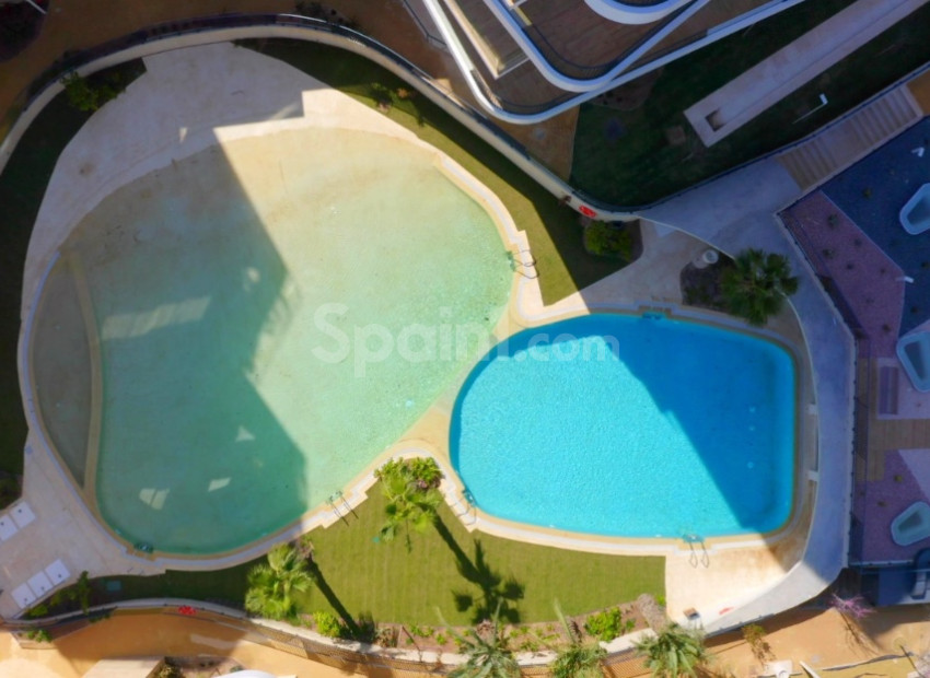 New Build - Wohnung -
Benidorm - Alicante