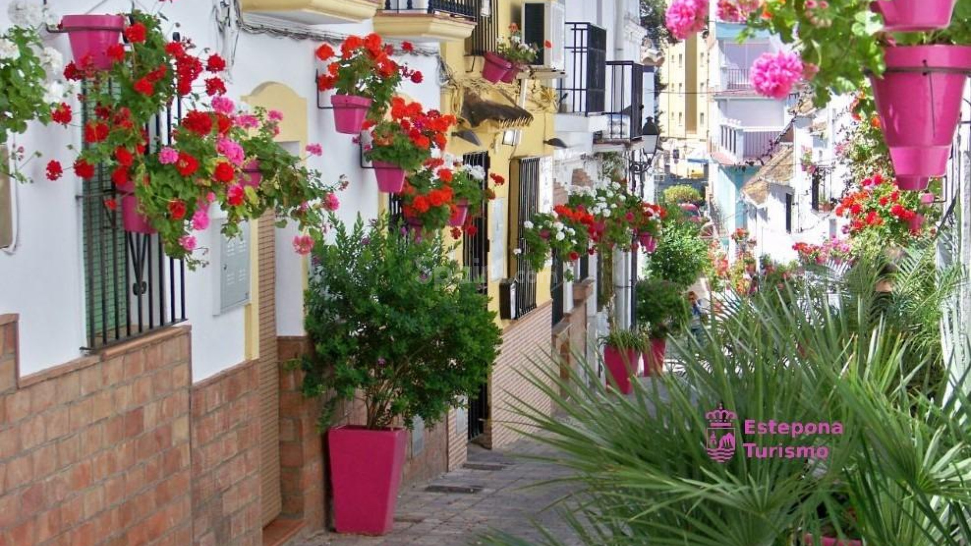 New Build - Wohnung -
Estepona - Parque El Calvario