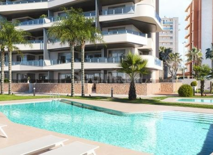 New Build - Wohnung -
Guardamar del Segura