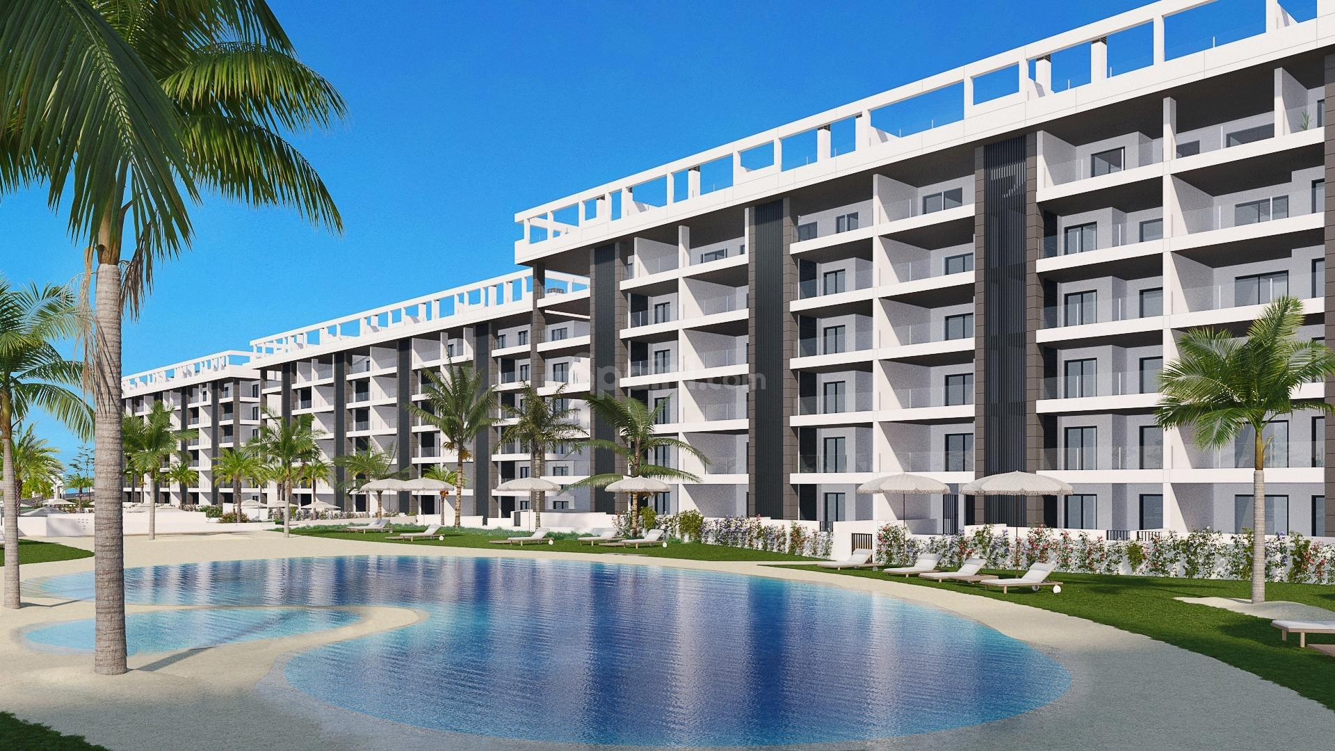 New Build - Wohnung -
Torrevieja