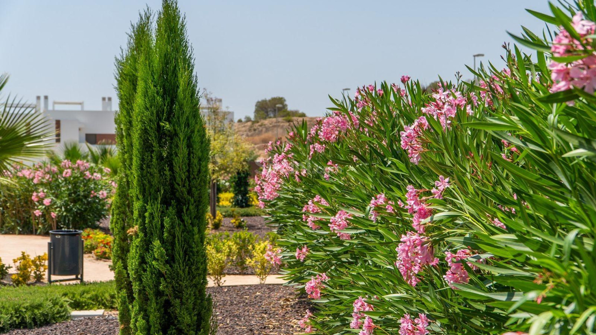 Nueva construcción  - Adosado -
Orihuela - Vistabella