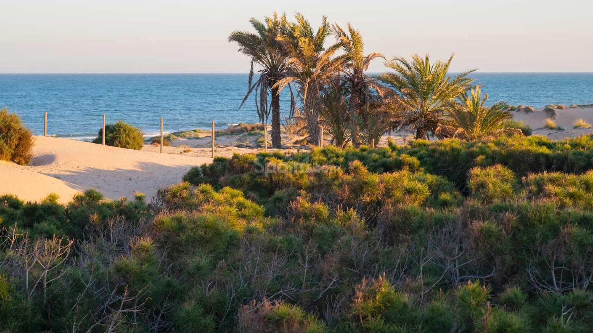 Nueva construcción  - Apartamento -
Guardamar del Segura - Avda del Puerto