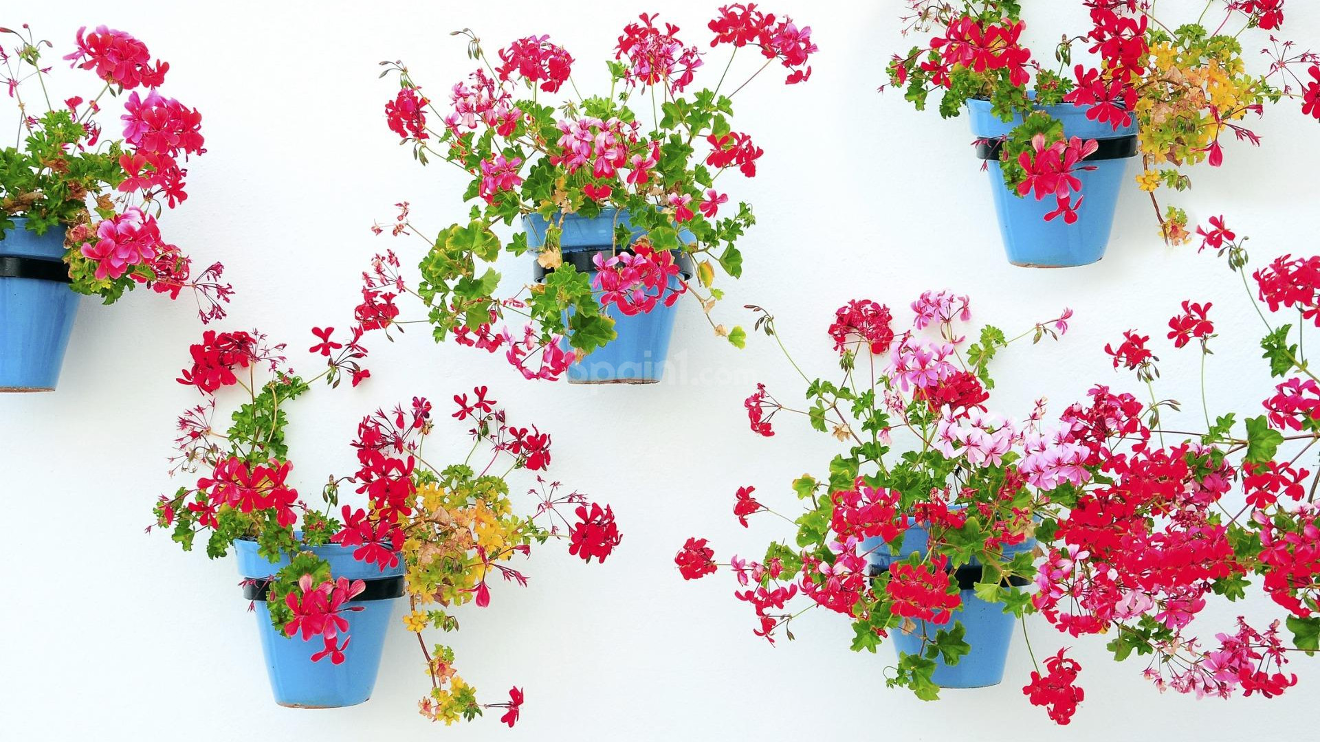 Nueva construcción  - Apartamento -
Mijas - La Noria Golf