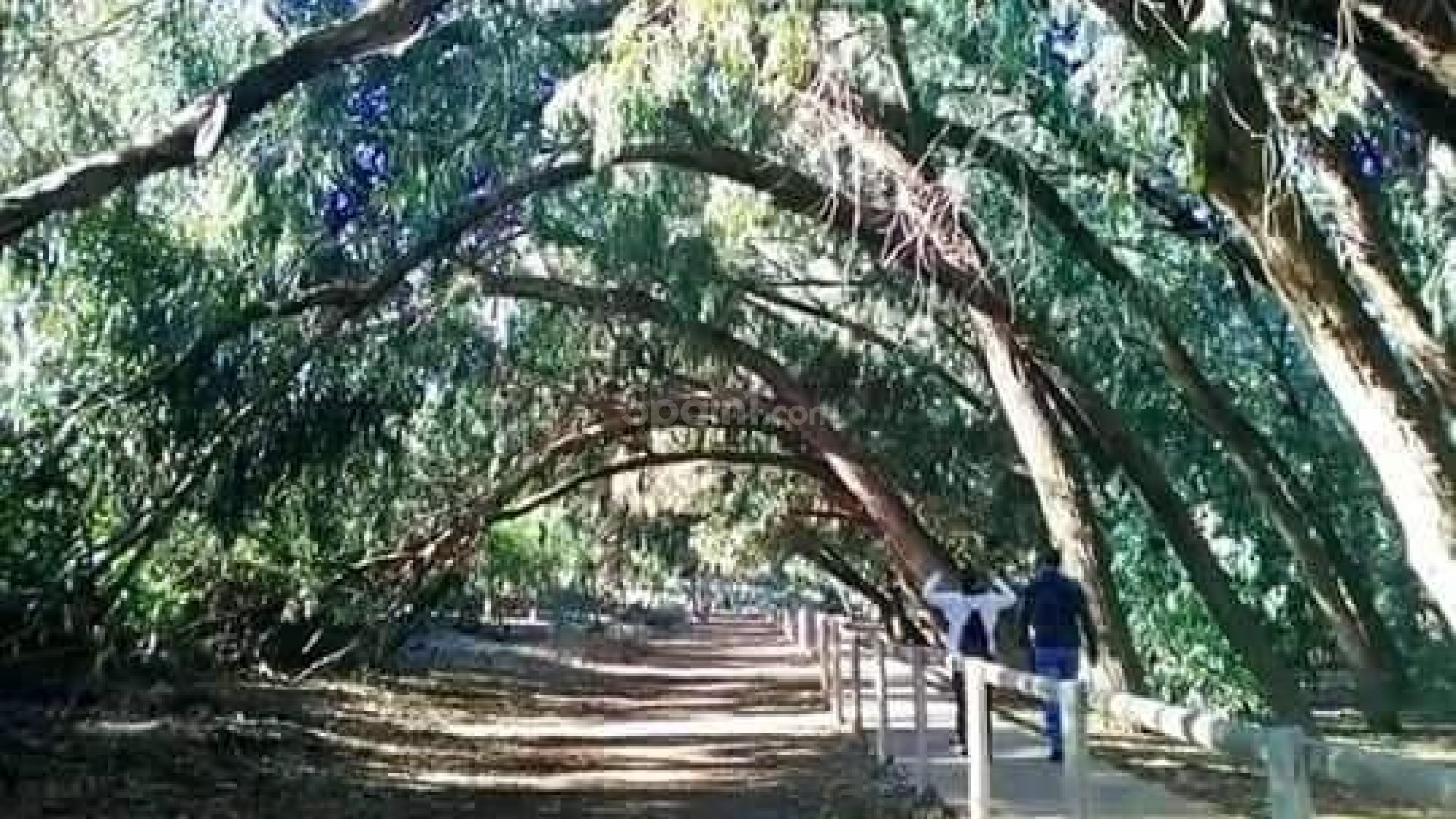 Nueva construcción  - Apartamento -
Torrevieja - Altos del Sol