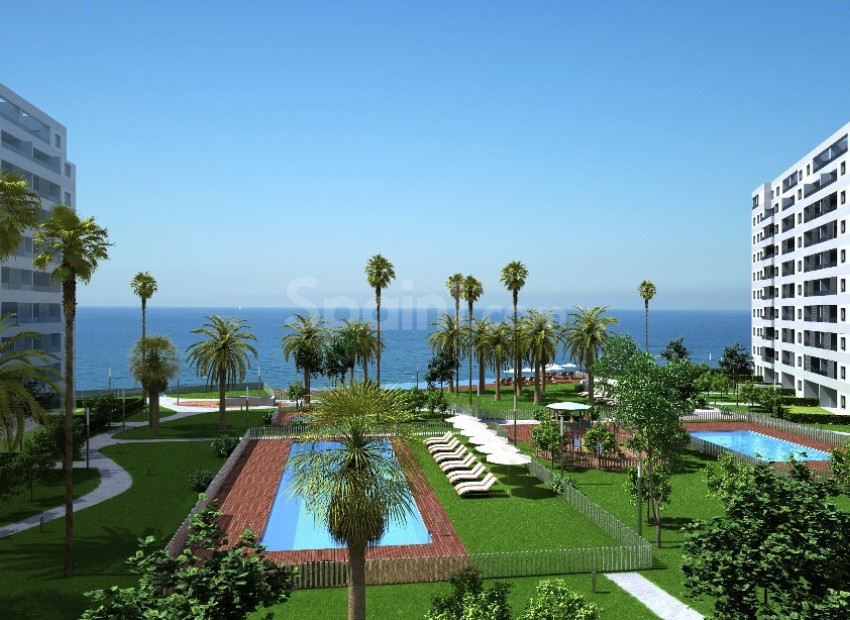 Nueva construcción  - Apartamento -
Torrevieja