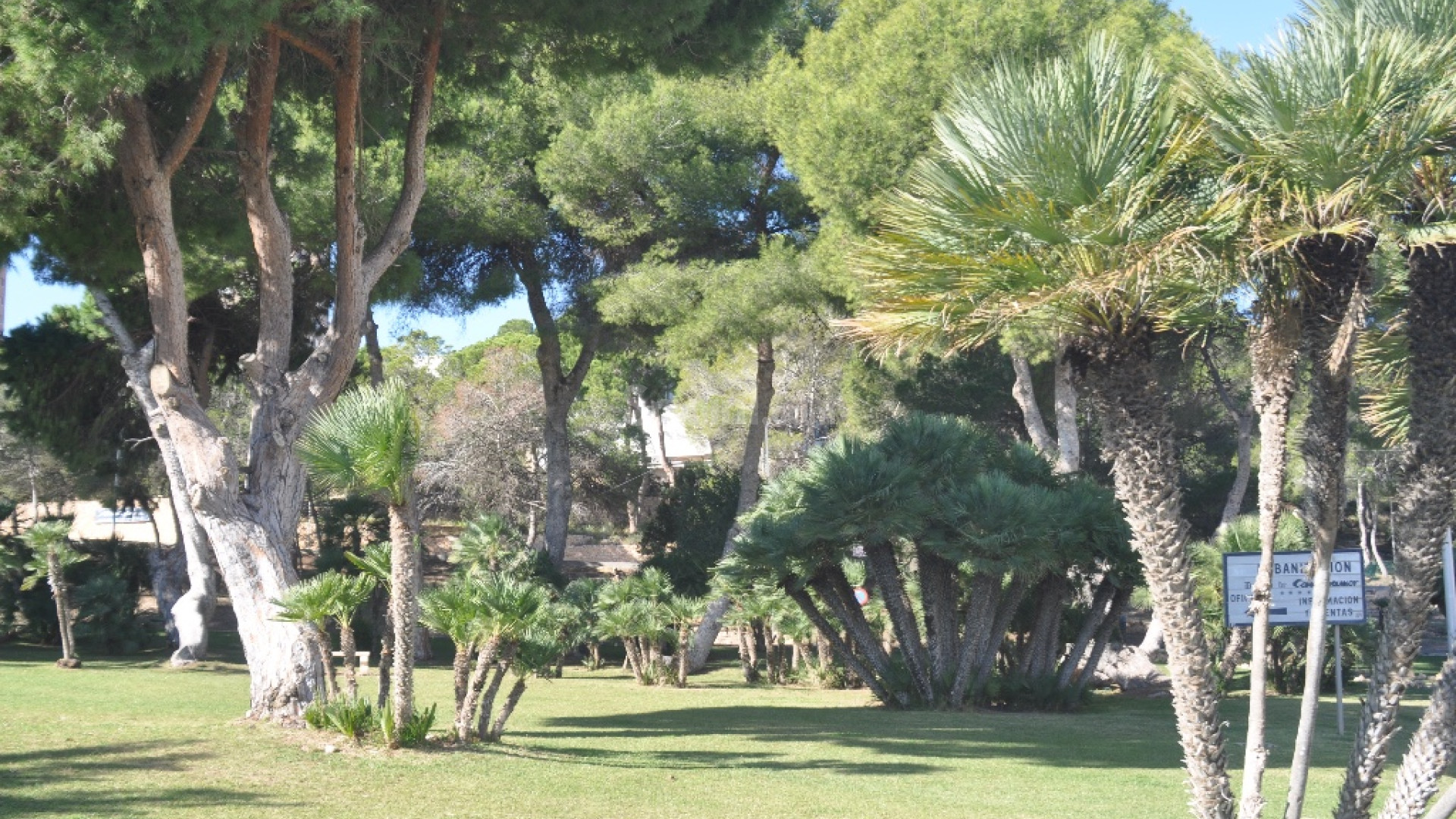 Nueva construcción  - Villa -
Dehesa de Campoamor - Campoamor