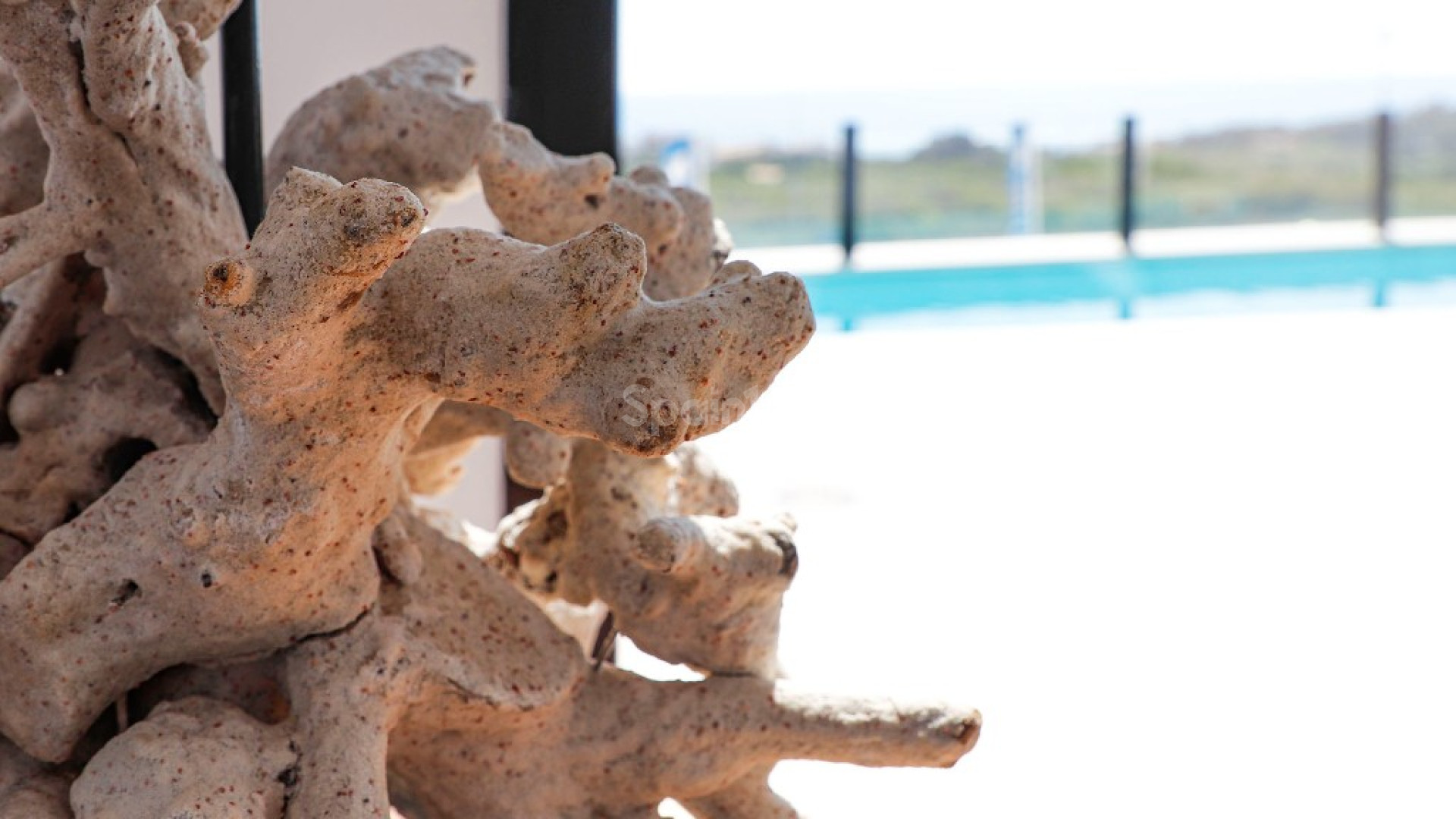 Nueva construcción  - Villa -
Guardamar del Segura