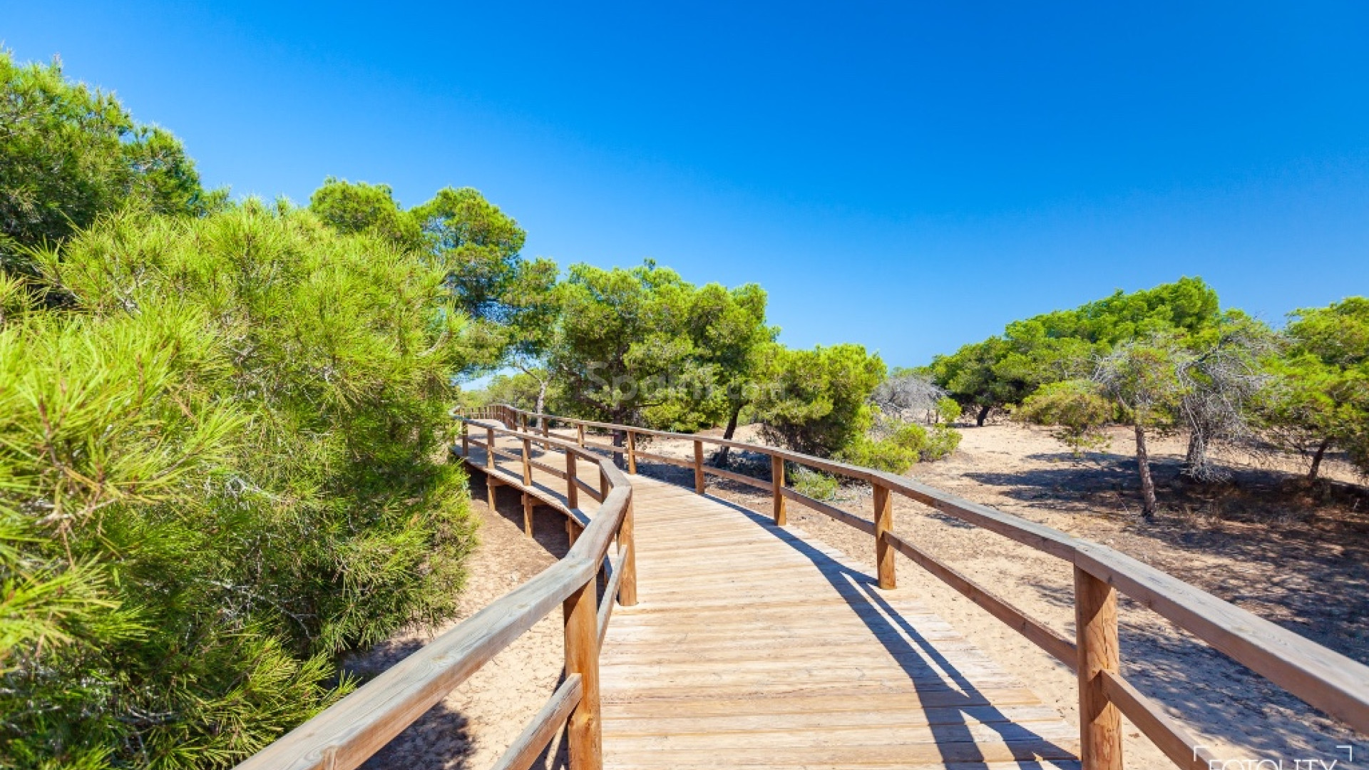 Nueva construcción  - Villa -
Guardamar del Segura