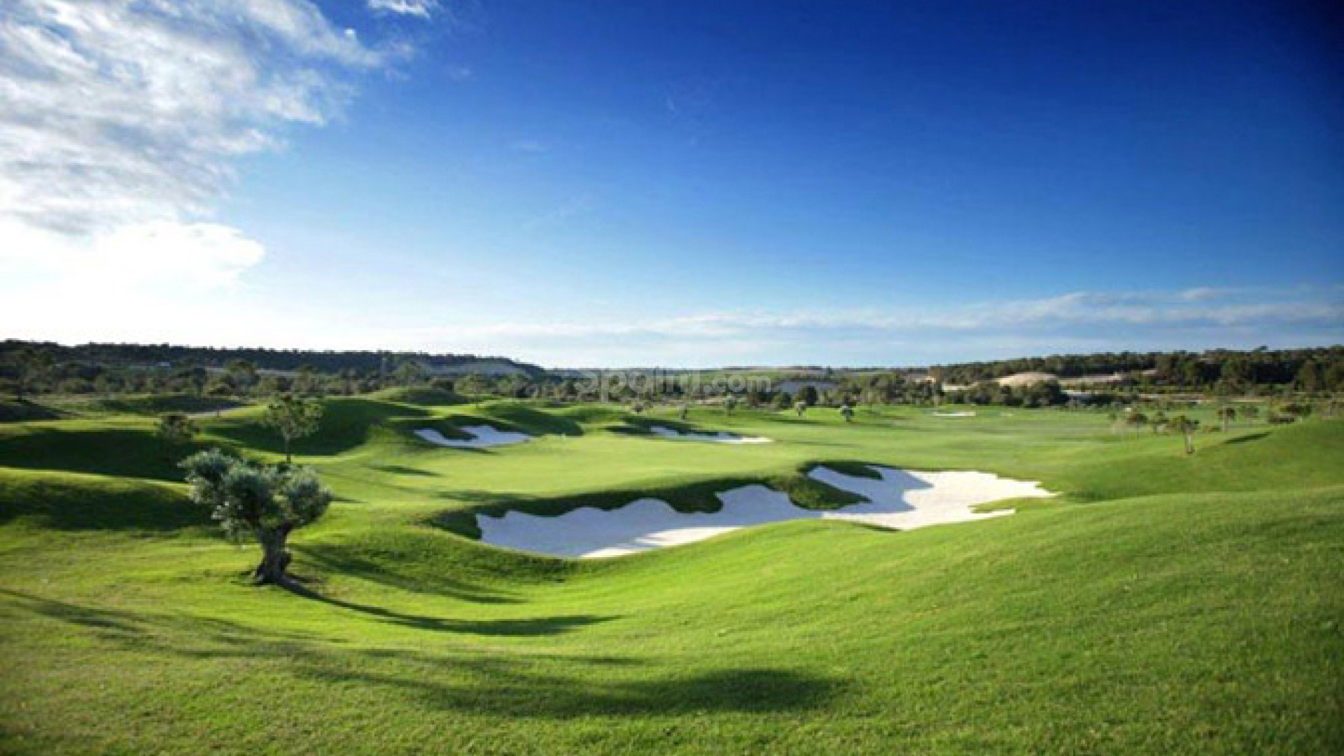 Nueva construcción  - Villa -
Las Colinas - Las Colinas Golf