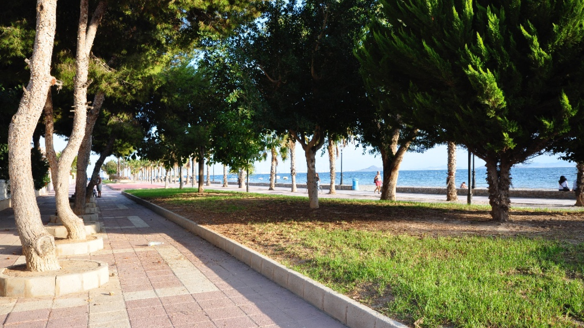 Nueva construcción  - Villa -
Los Alcázares - Los Alcazares