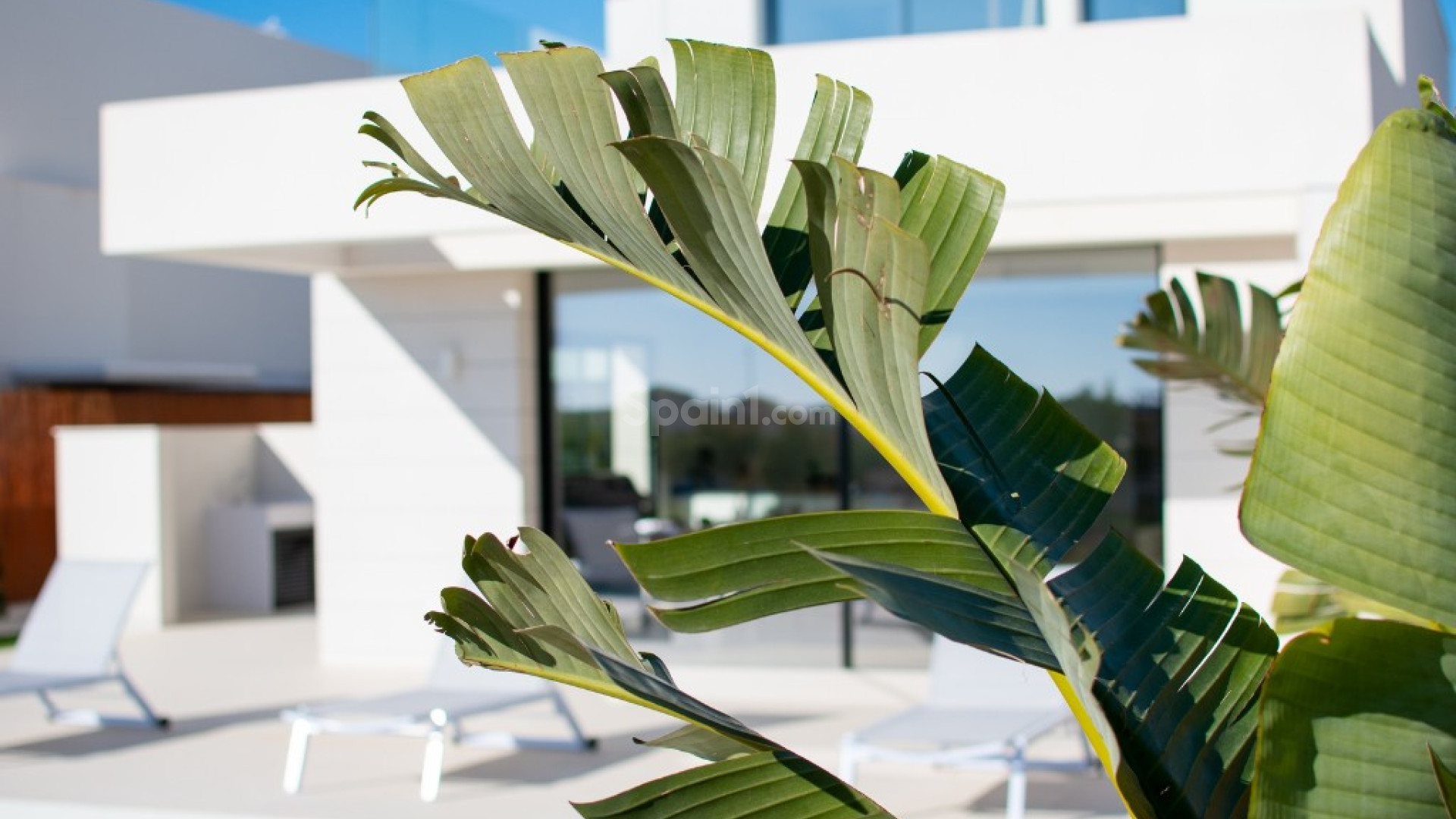 Nueva construcción  - Villa -
Los Montesinos - La Herada