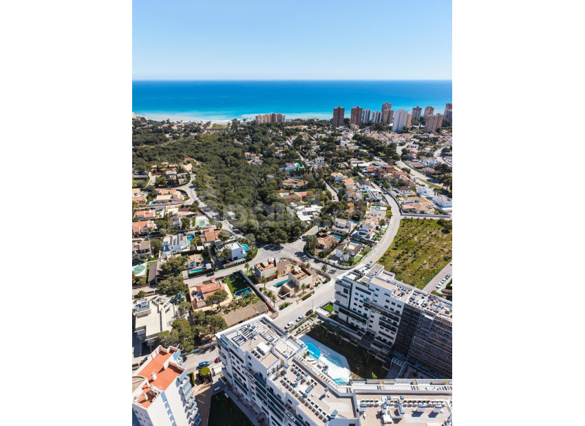 Nueva construcción  - Villa -
Orihuela Costa - Campoamor