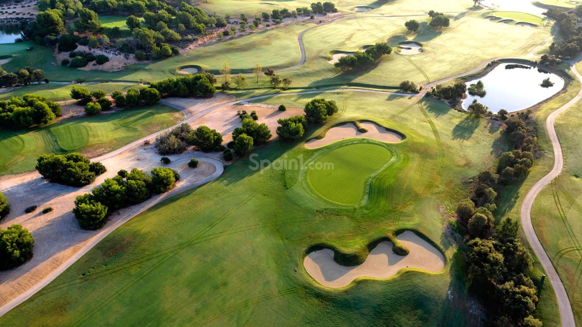 Nueva construcción  - Villa -
Pilar de la Horadada - Lo Romero Golf